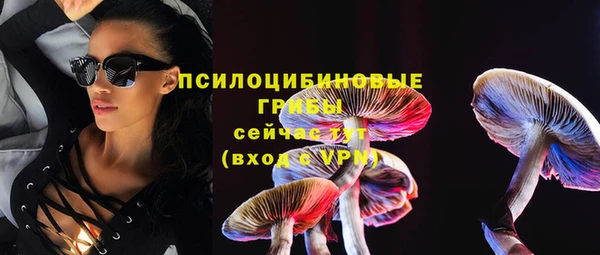 тгк Алзамай