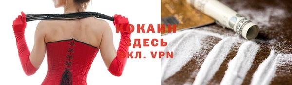 тгк Алзамай