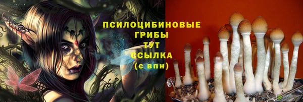 эйфоретик Алексин