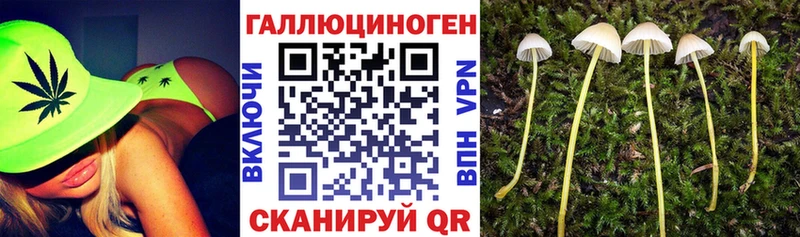 mega ссылки  Алатырь  Галлюциногенные грибы мицелий  сколько стоит 